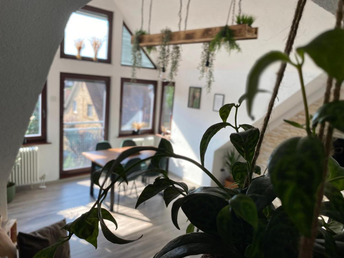Nature Terminal Apartment - Unterwegs Zuhause シュタイネンブロン エクステリア 写真