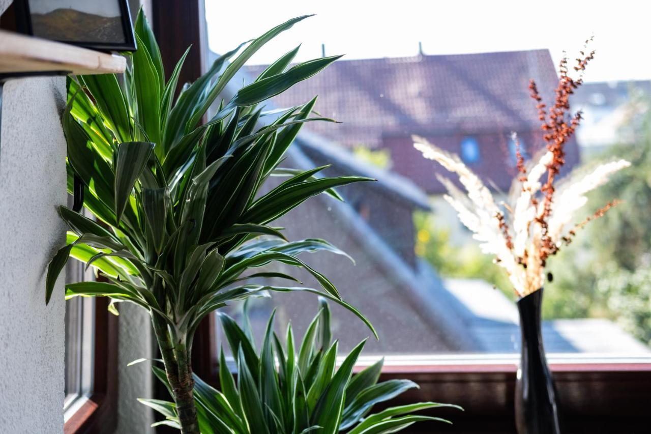 Nature Terminal Apartment - Unterwegs Zuhause シュタイネンブロン エクステリア 写真