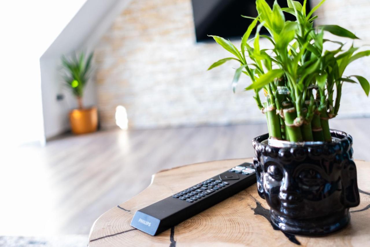 Nature Terminal Apartment - Unterwegs Zuhause シュタイネンブロン エクステリア 写真