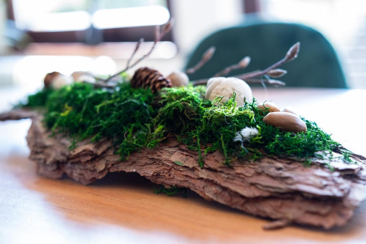 Nature Terminal Apartment - Unterwegs Zuhause シュタイネンブロン エクステリア 写真