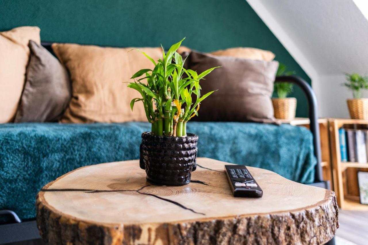 Nature Terminal Apartment - Unterwegs Zuhause シュタイネンブロン エクステリア 写真